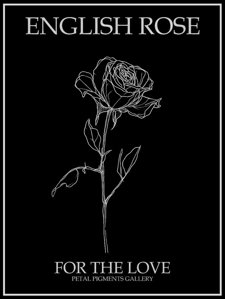 English Rose Black And White Line Drawing 28 Poster Inverted