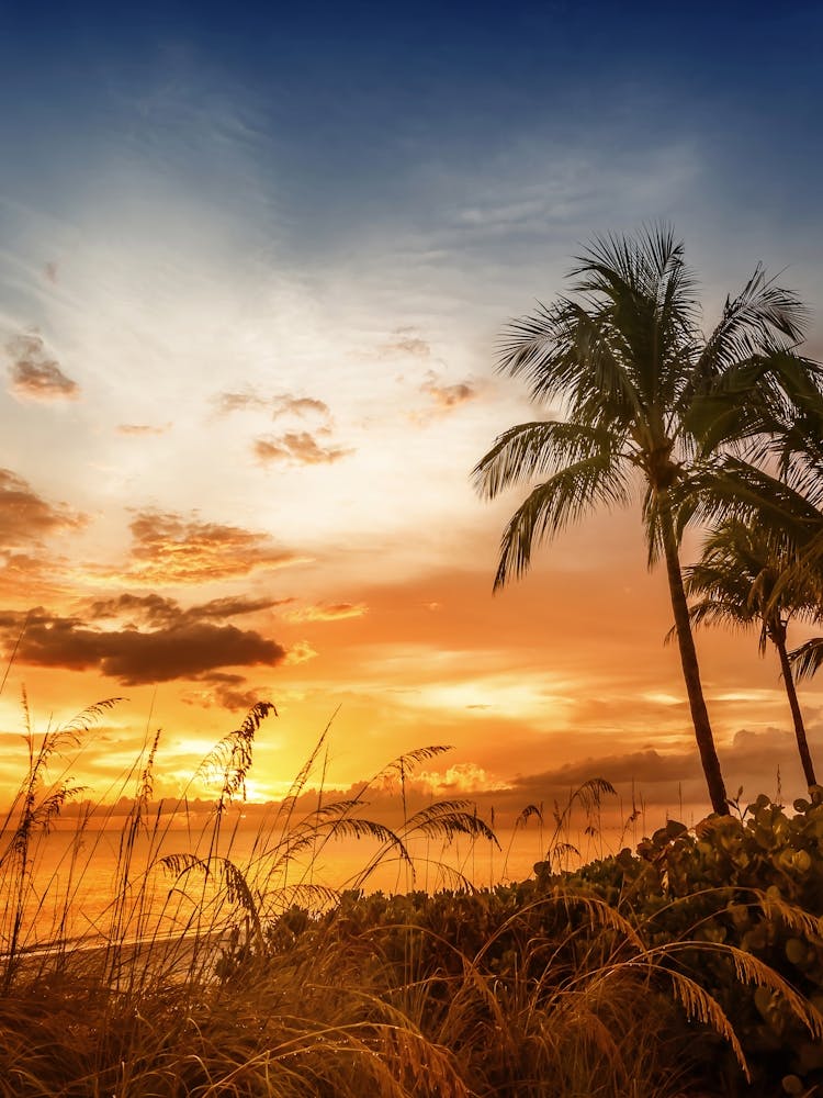 BONITA BEACH Romantic Sunset