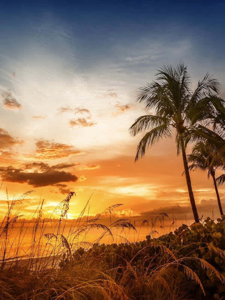 BONITA BEACH Romantic Sunset
