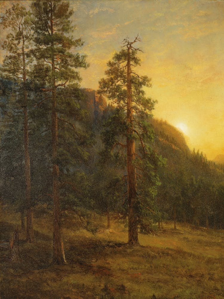California Redwoods, Albert Bierstadt