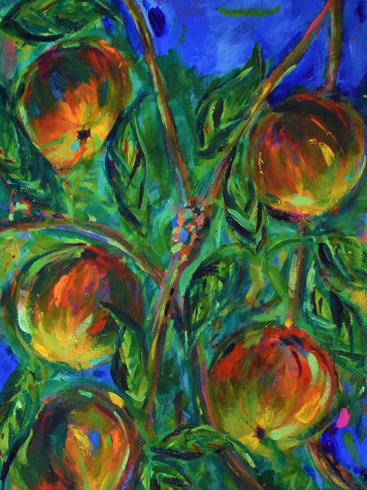 Apple Tree