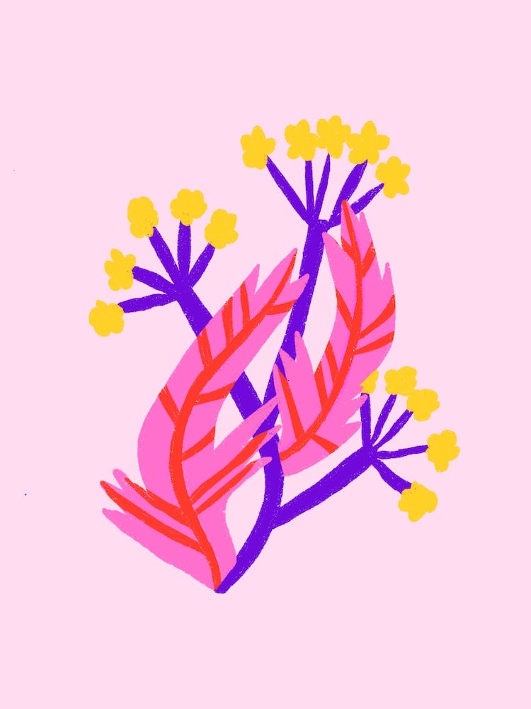 Yarrow Flower
