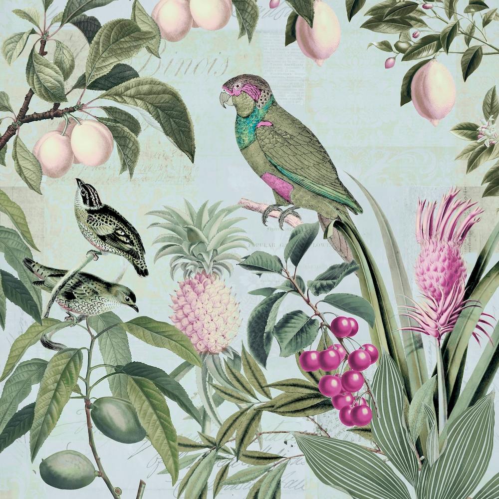 Fruit Paradise Square