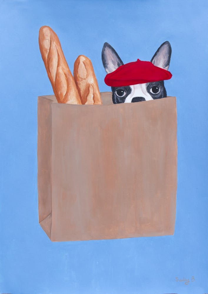 French Bulldog In Paperbag With Baguette