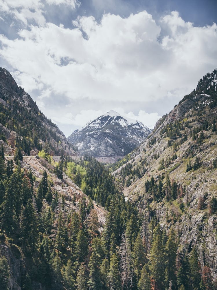 The Peak