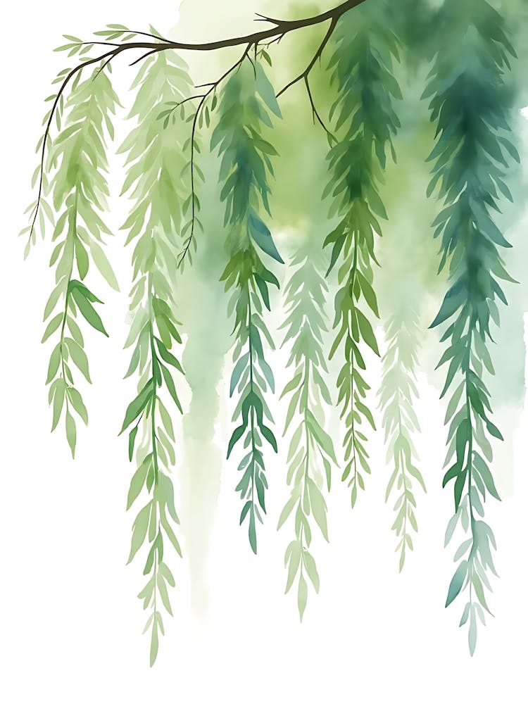 Subtle Botanical Design For Contemporary Spaces