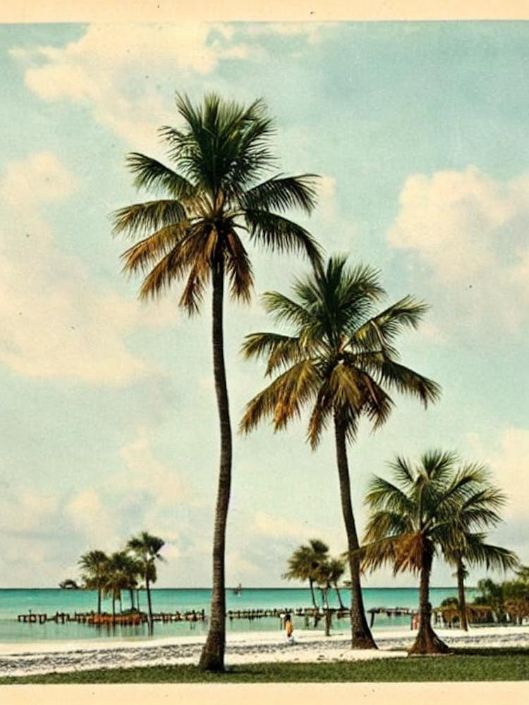 Siesta Key Beach Florida Vintage