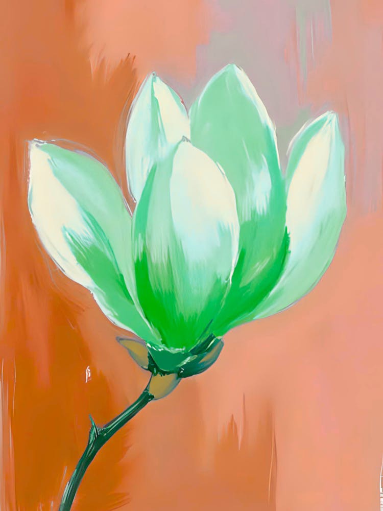 Magnolia 18