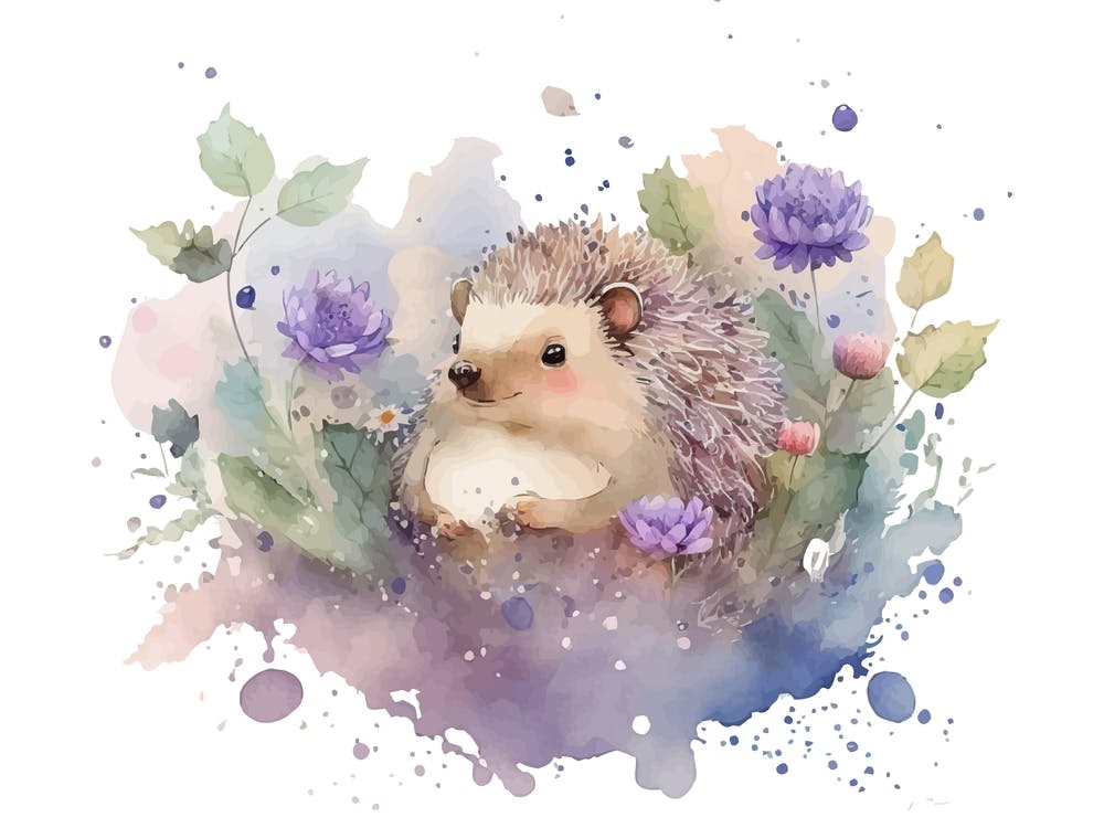 Hedgehog With Flowers Watercolor