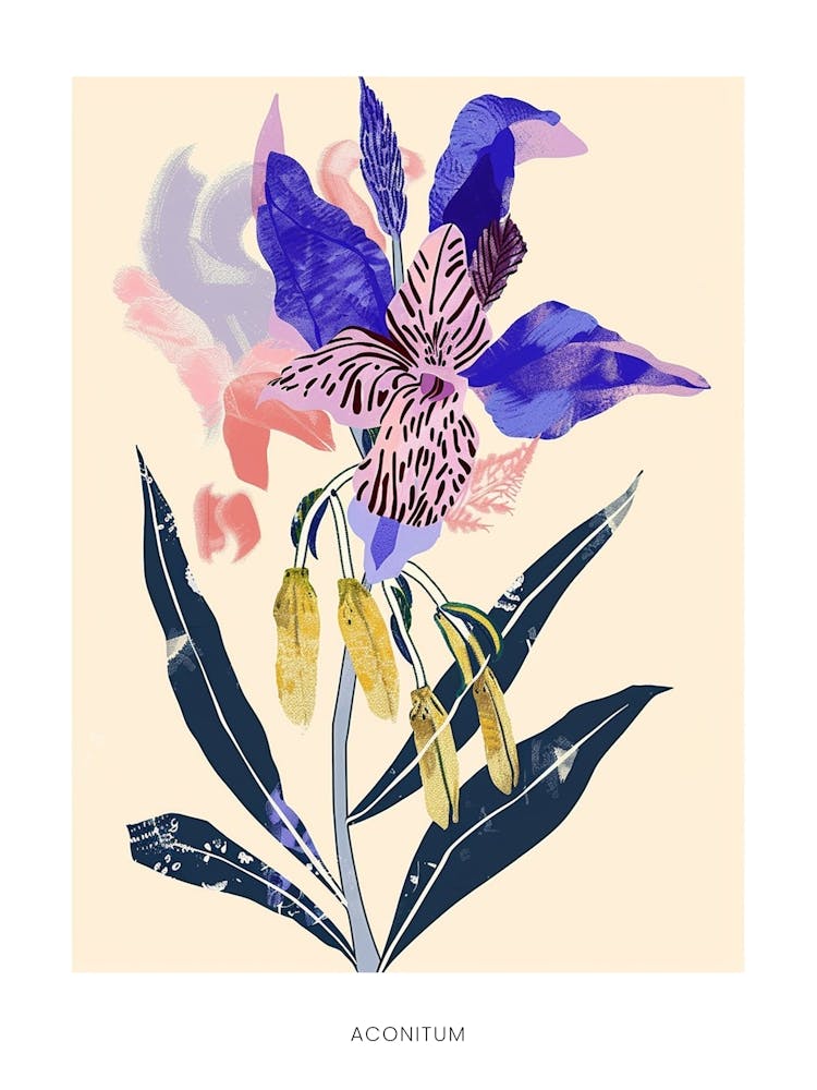 Colourful Flower Illustration Poster Aconitum 1