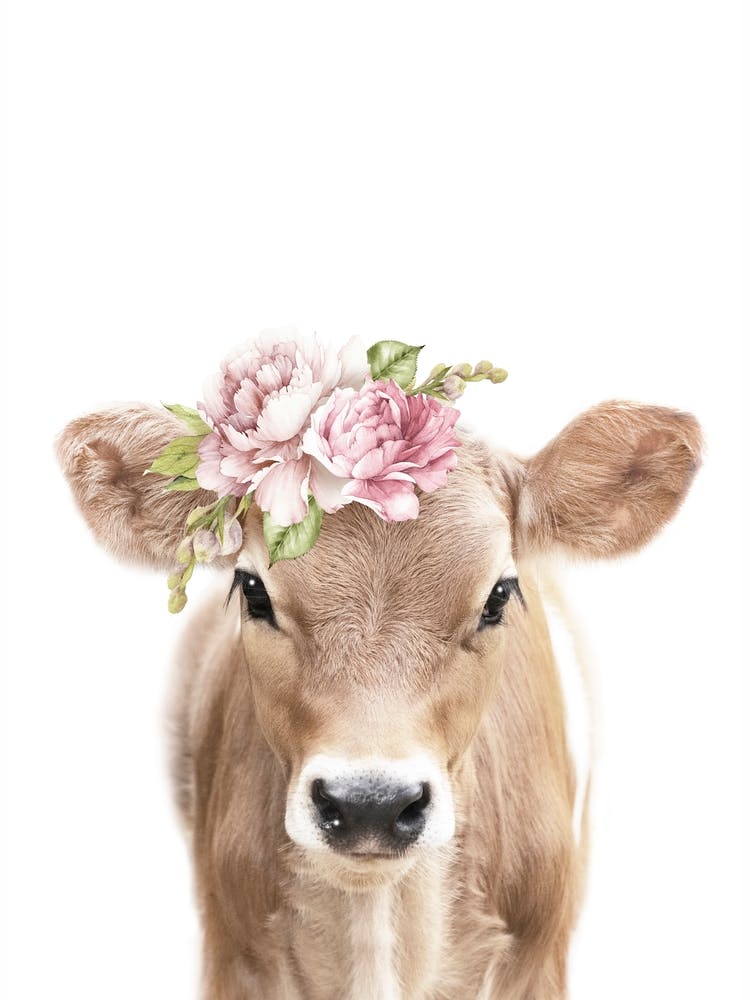 Guck-Guck-Blumenkuh