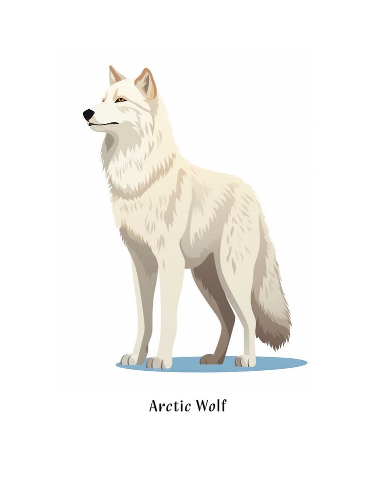 Arctic Wolf Kids Animal Poster