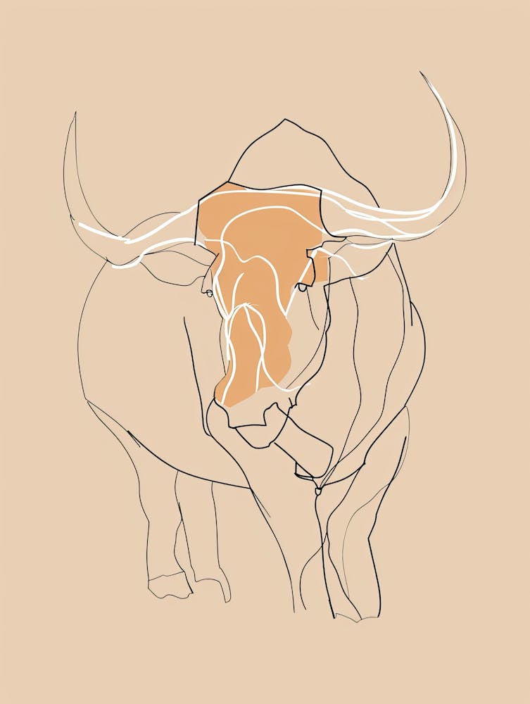 Bull Illustration - Boho, Line Art