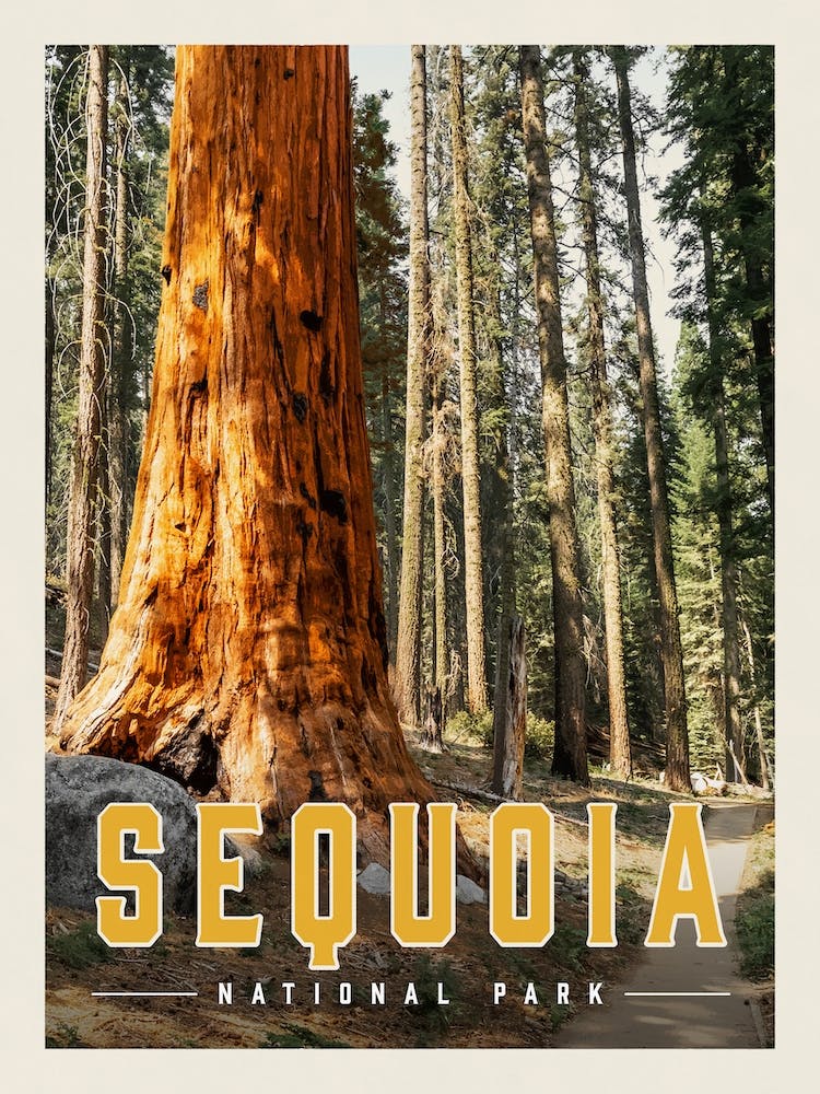 Sequoia Travel Poster