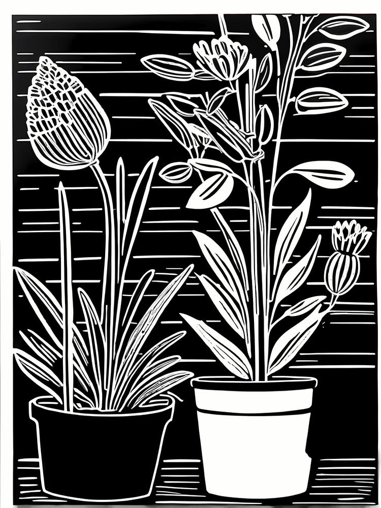 Lion cut inspired Black and white Garden plants & flowers art, Gardening art, 246