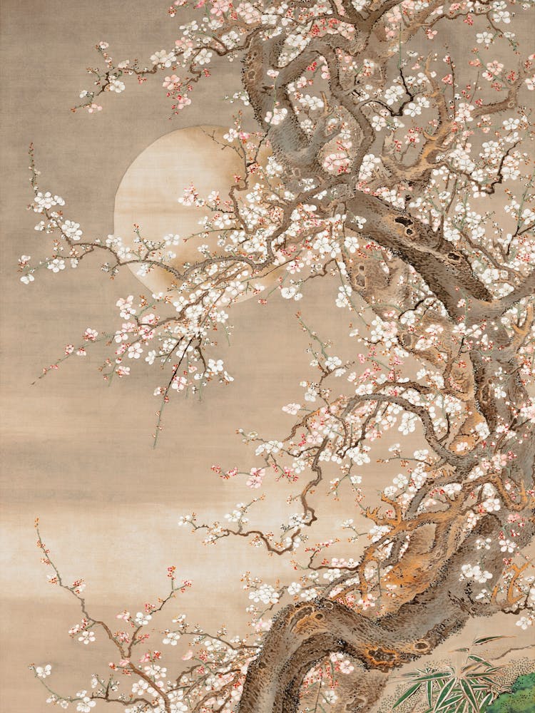 Japanese plum blossoms in moonlight