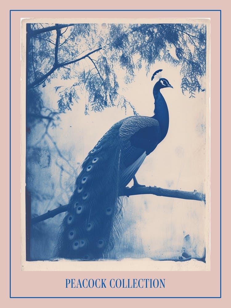 Peacock In The Tree Cyanotype Inspired 6 Poster