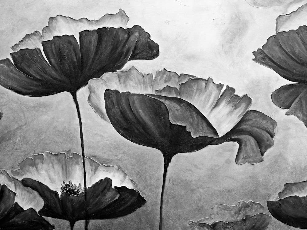 Schwarz-Weiße Mohnblumen 8