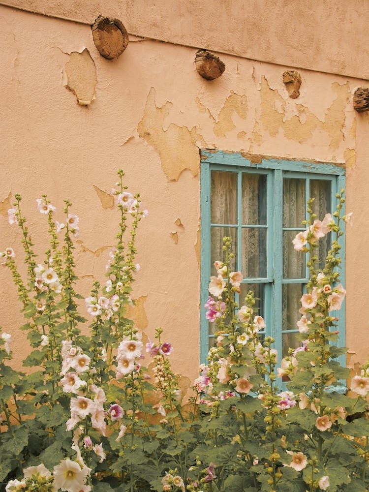 Desert Adobe Home