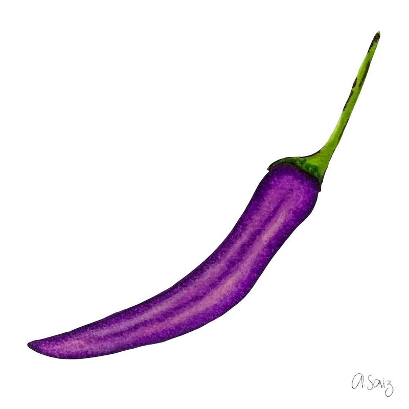 Lila Chili
