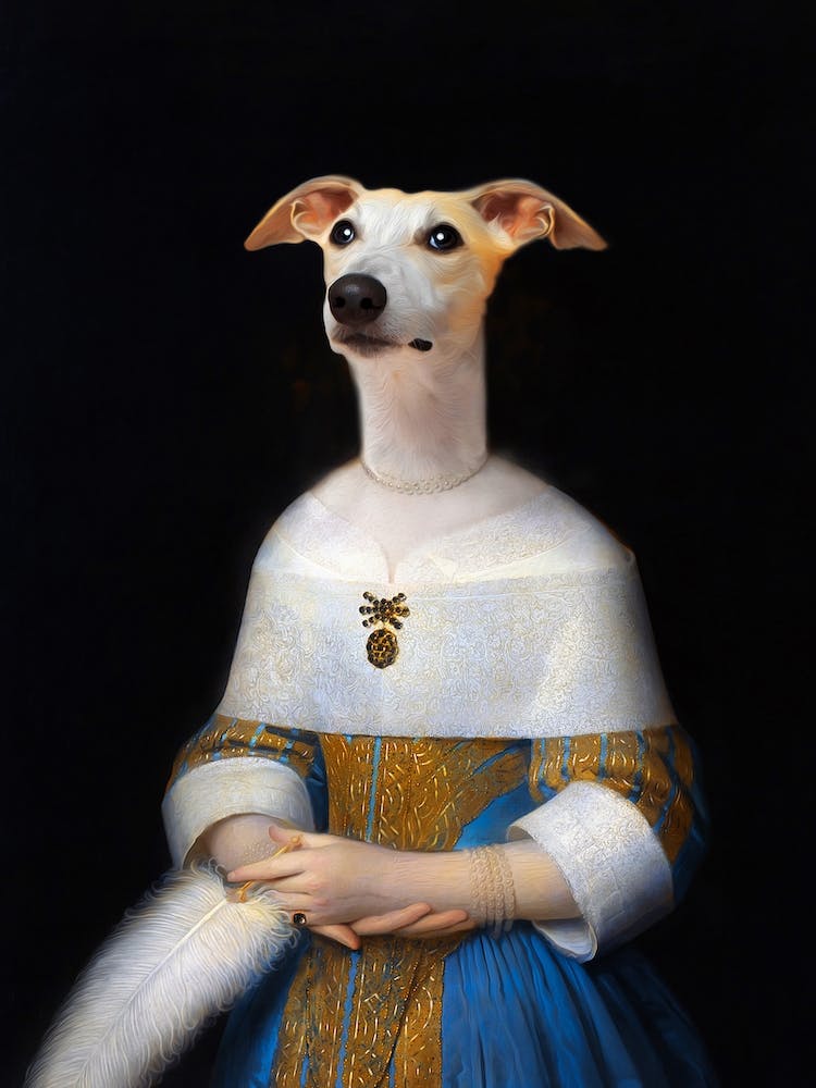 Muze Izumi The Dog Pet Portraits