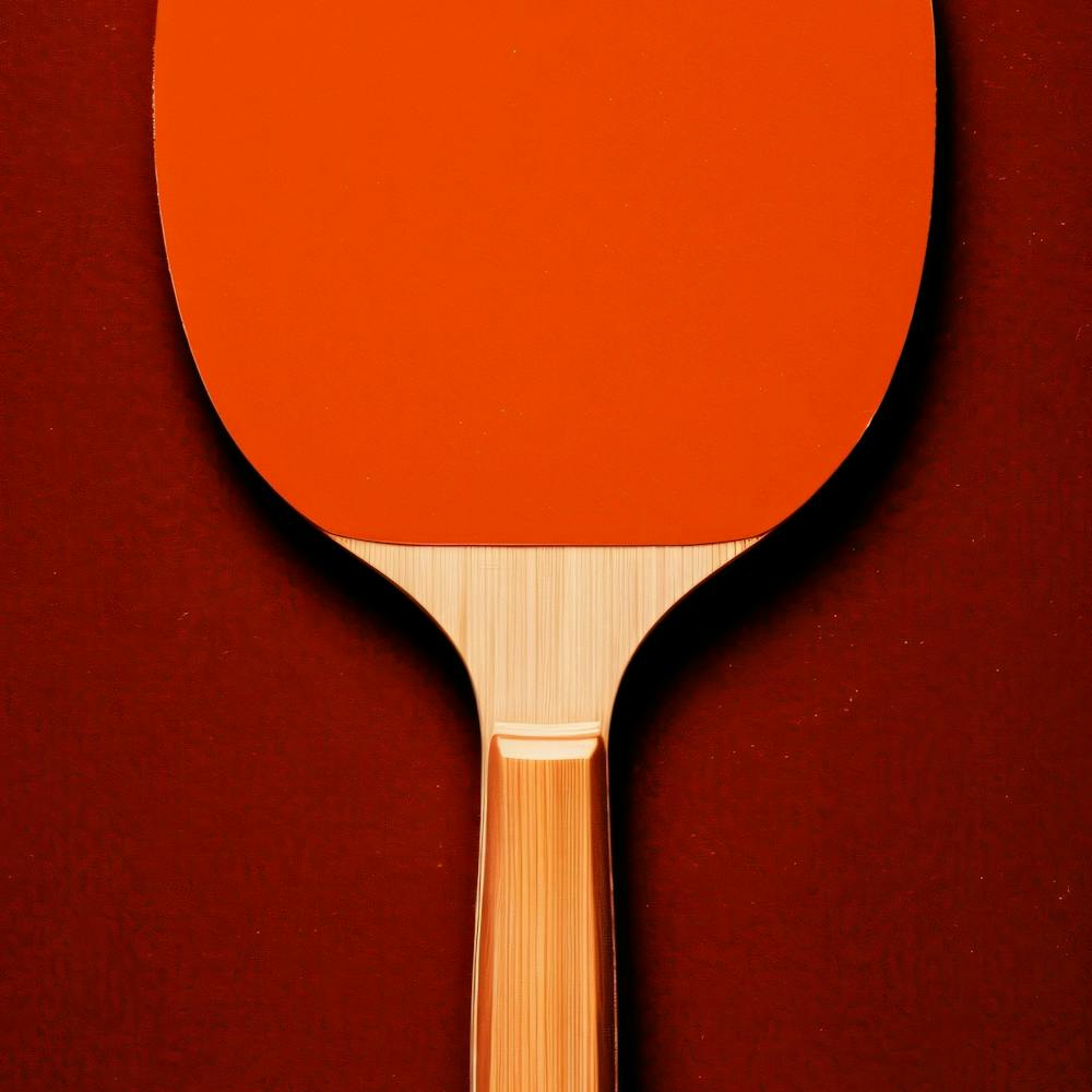 Ping Pong Paddle 1
