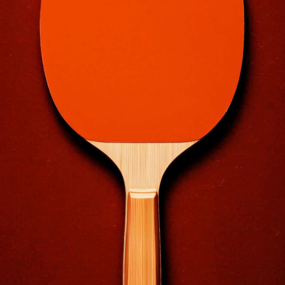 Ping Pong Paddle 1
