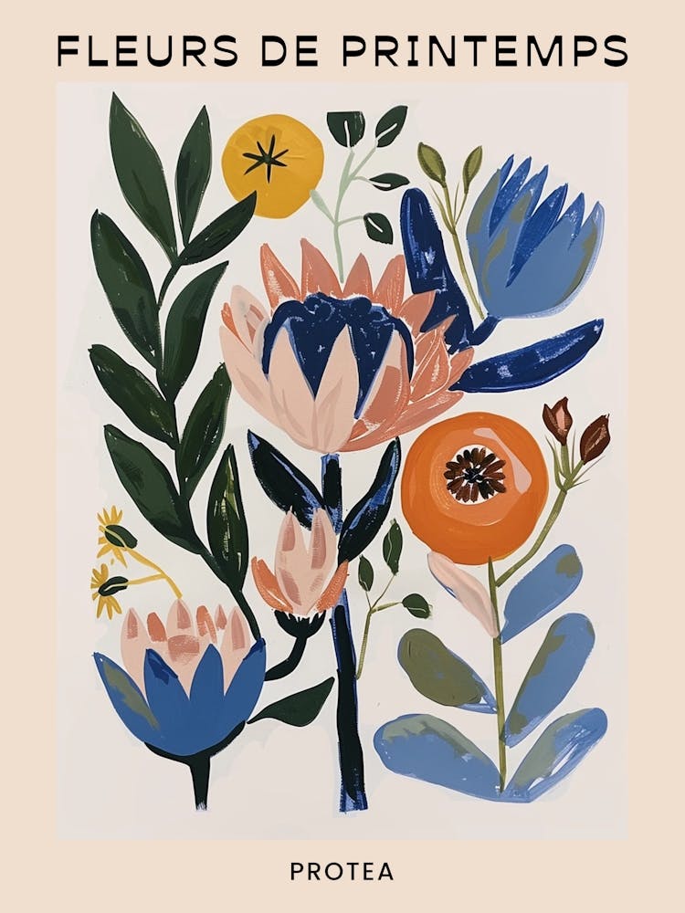 Spring Floral French Poster  Protea 3