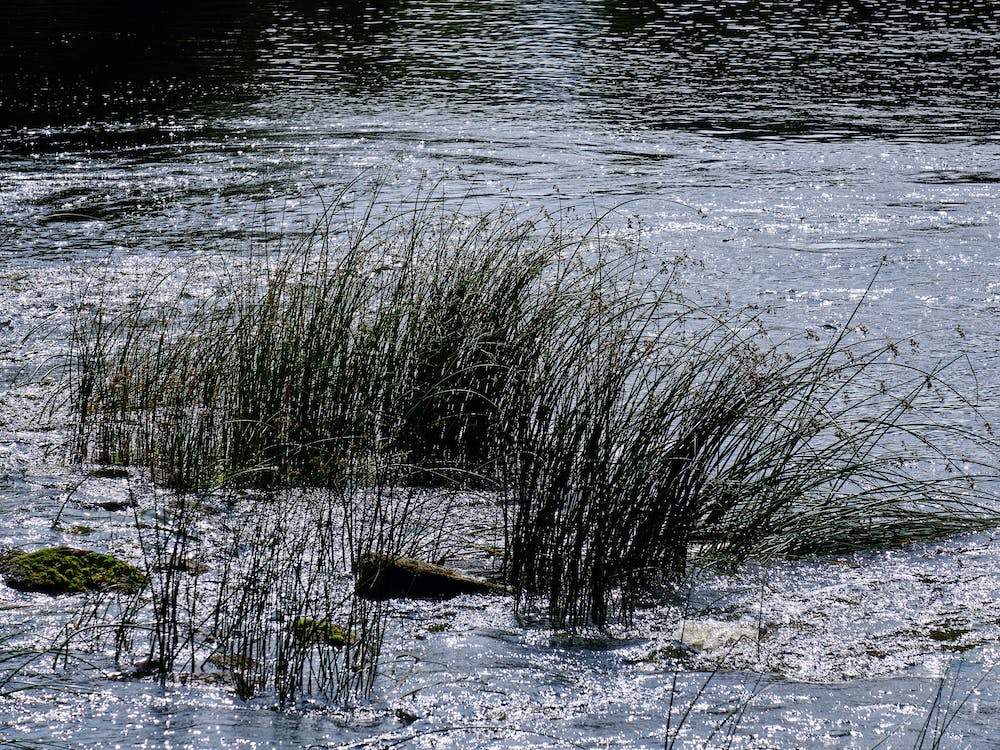 Zweden23 08 21707+Gpl20975