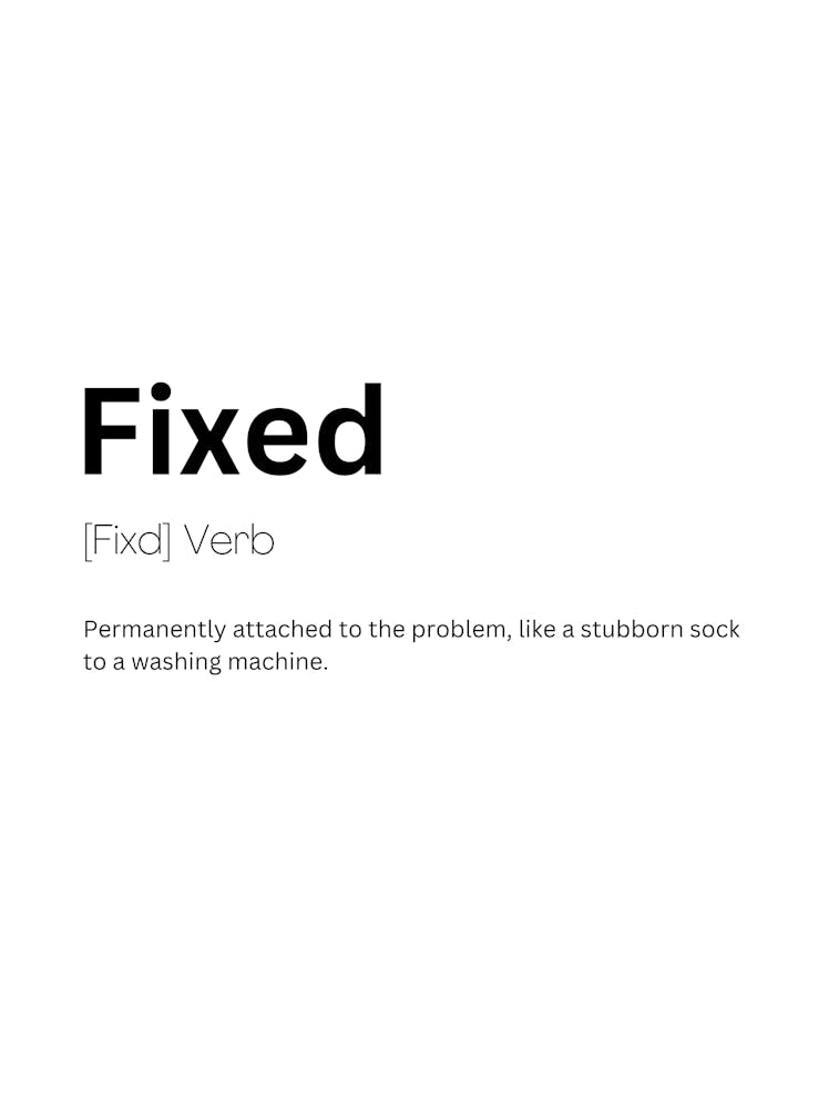 Fixed Definition Meaning 1