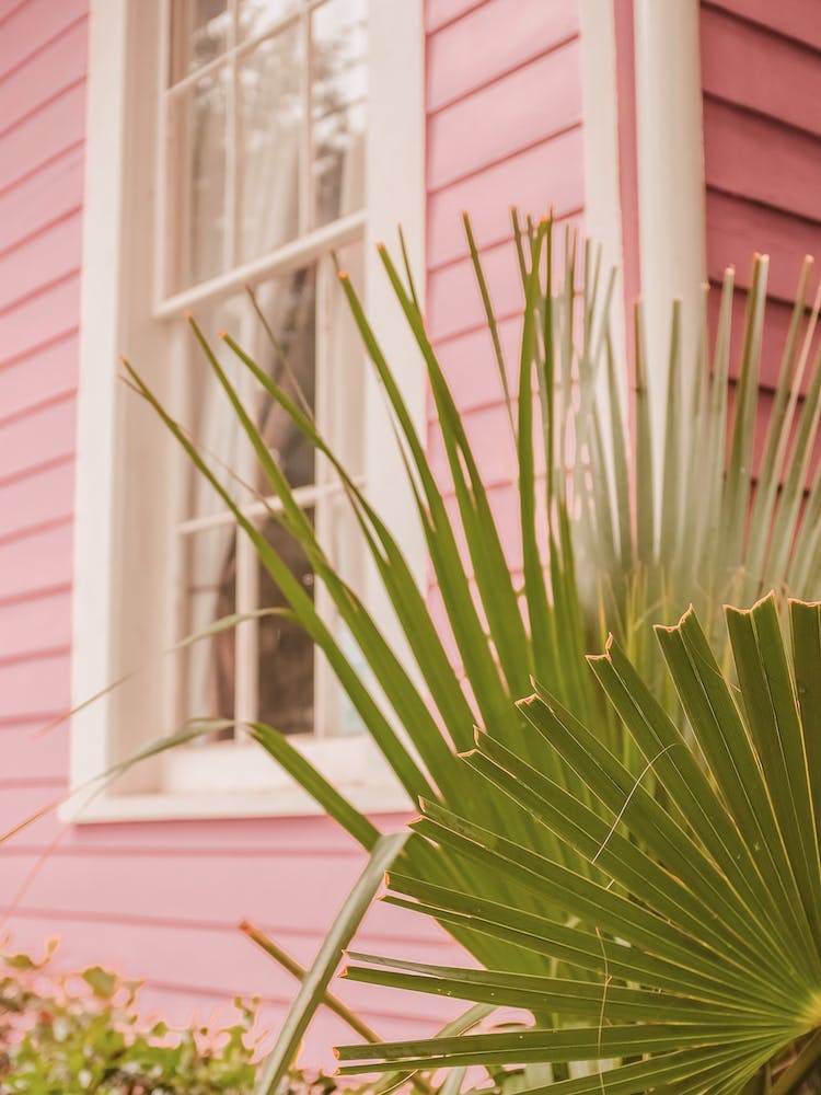 Pink And Green