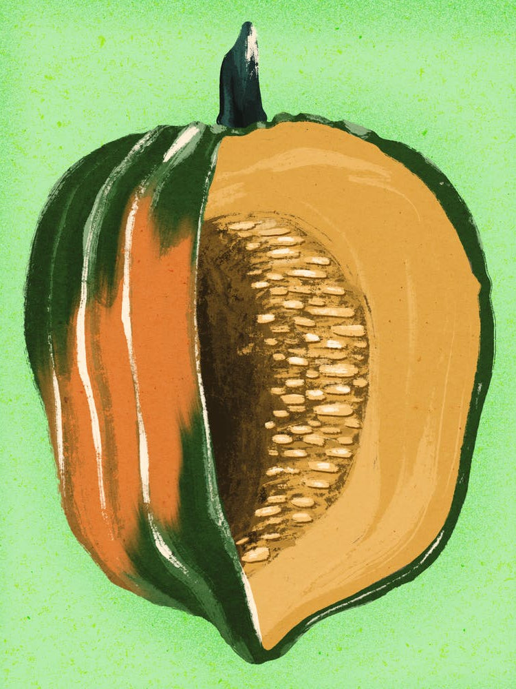 Acorn squash, fruit and vegetables, food, illustration, cooking, wall art
