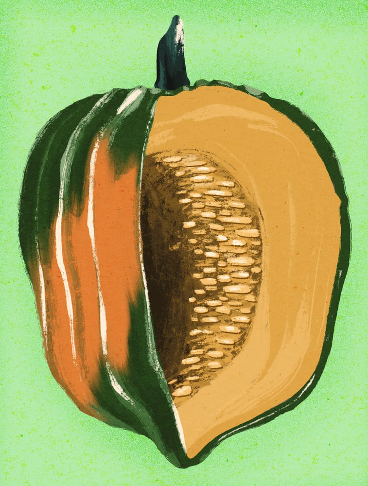 Acorn squash, fruit and vegetables, food, illustration, cooking, wall art