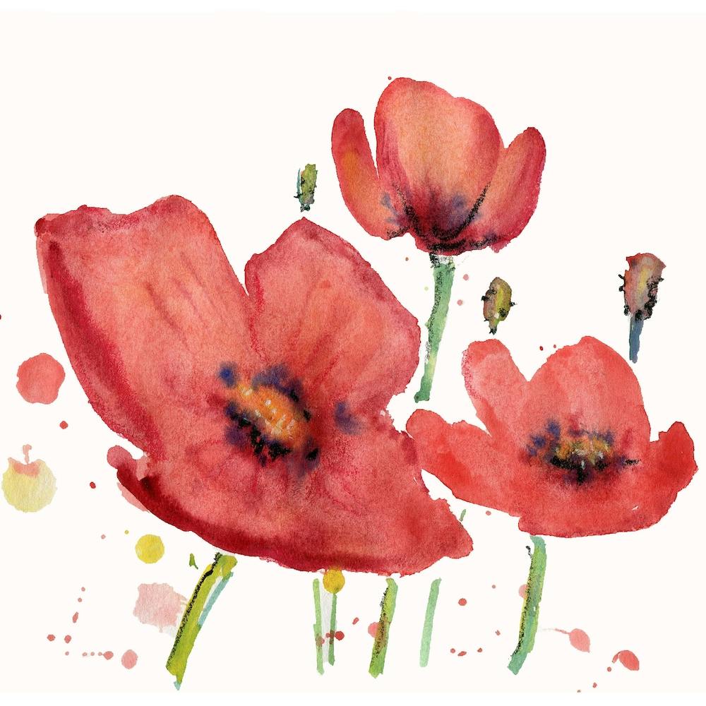 Red Poppies