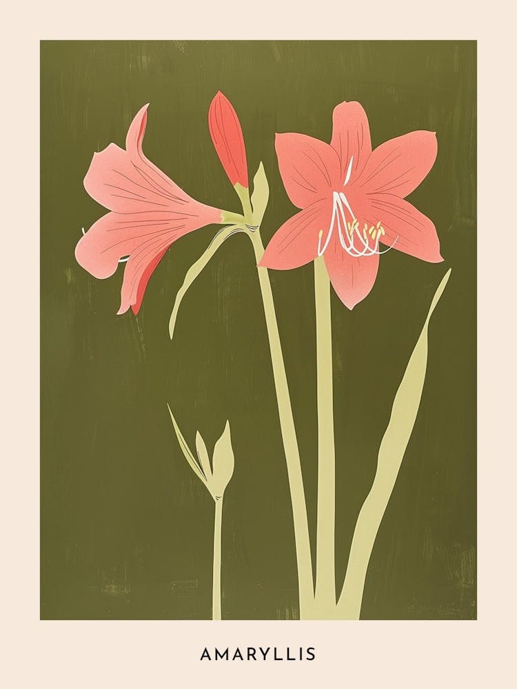Pink & Green Amaryllis 4 Flower Poster