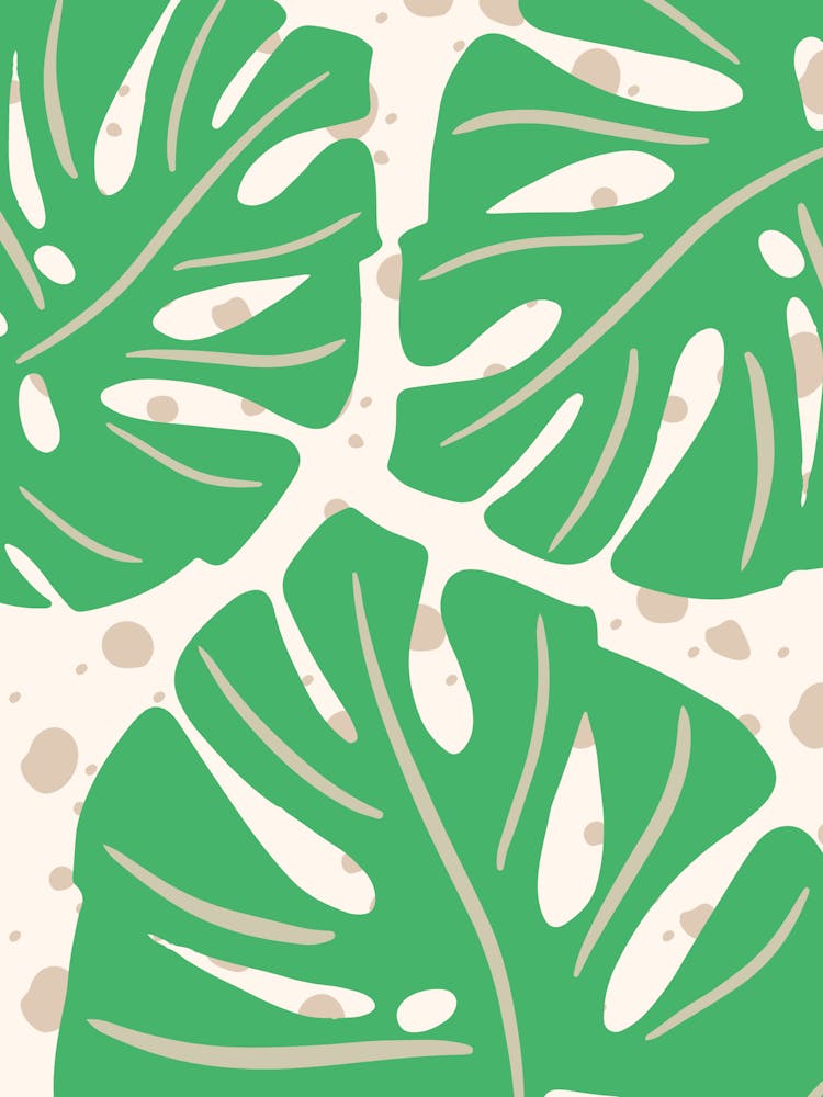 Monstera Leaves
