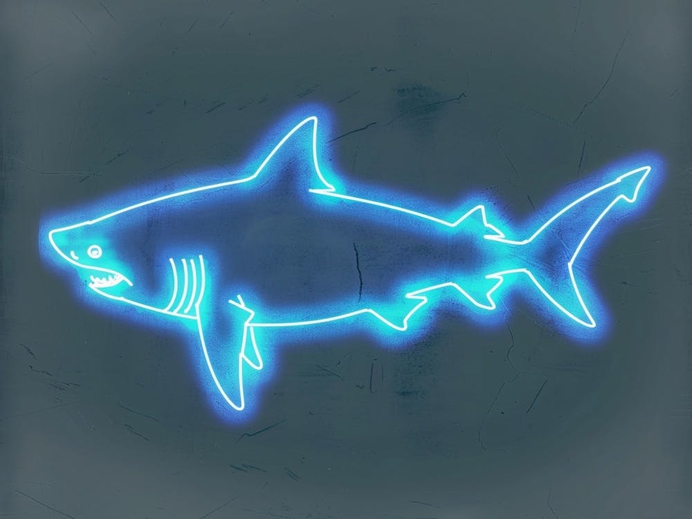 Neon Isistius Genus Hai 2