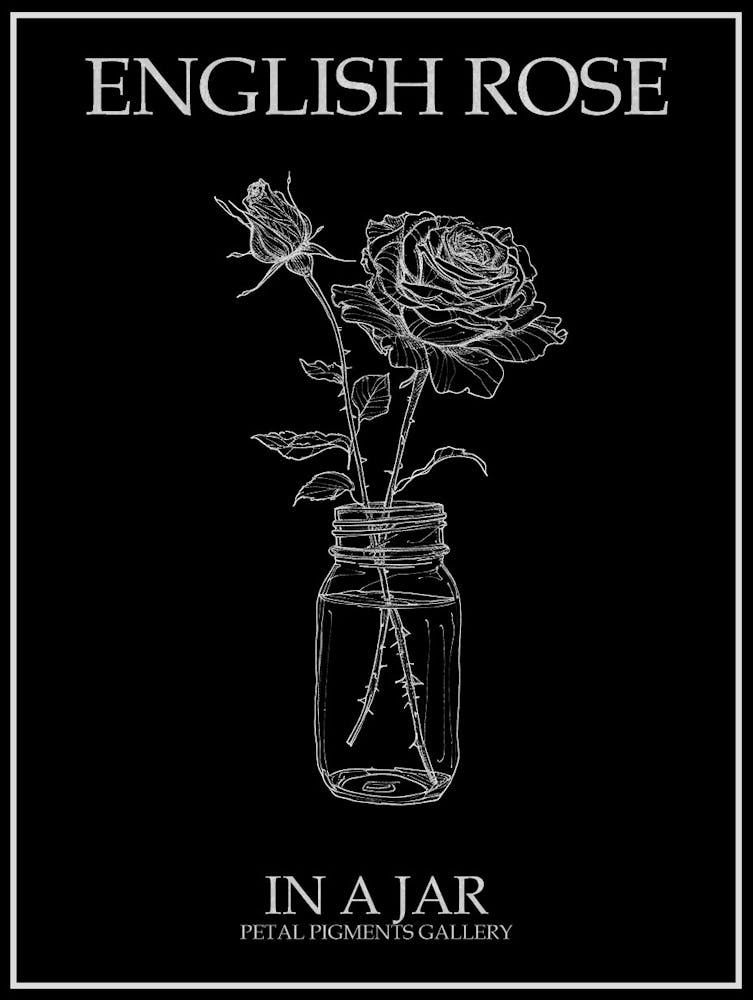 English Rose In A Jar Line Drawing 1 Poster Inverted