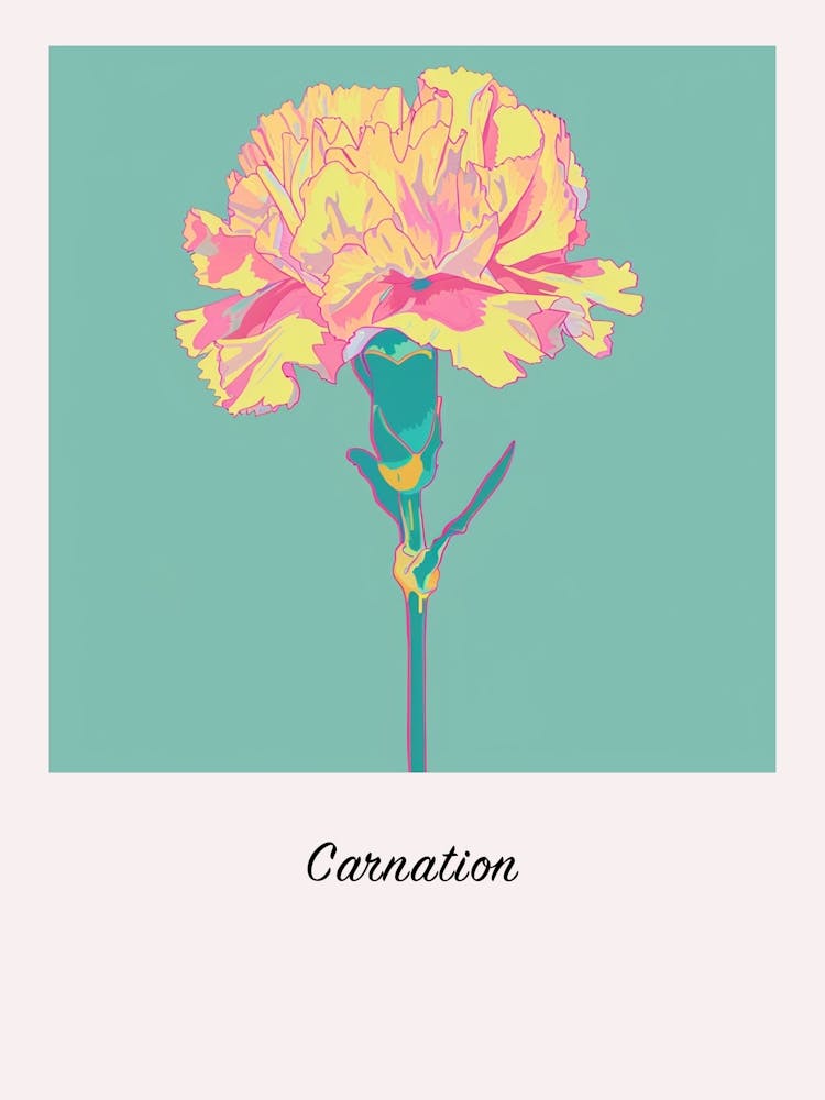 Carnation 3 Square Flower Illustration Poster