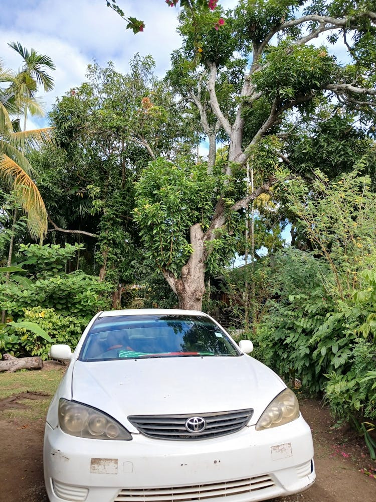 White Car Parked In A Garden