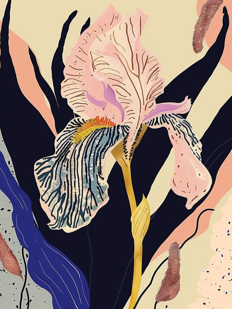 Colourful Flower Illustration Iris 1