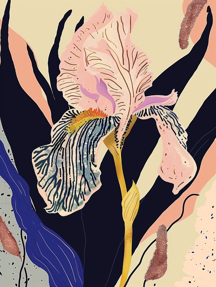 Colourful Flower Illustration Iris 1