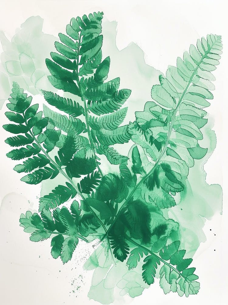Green Ink Painting Of A Sword Fern 2