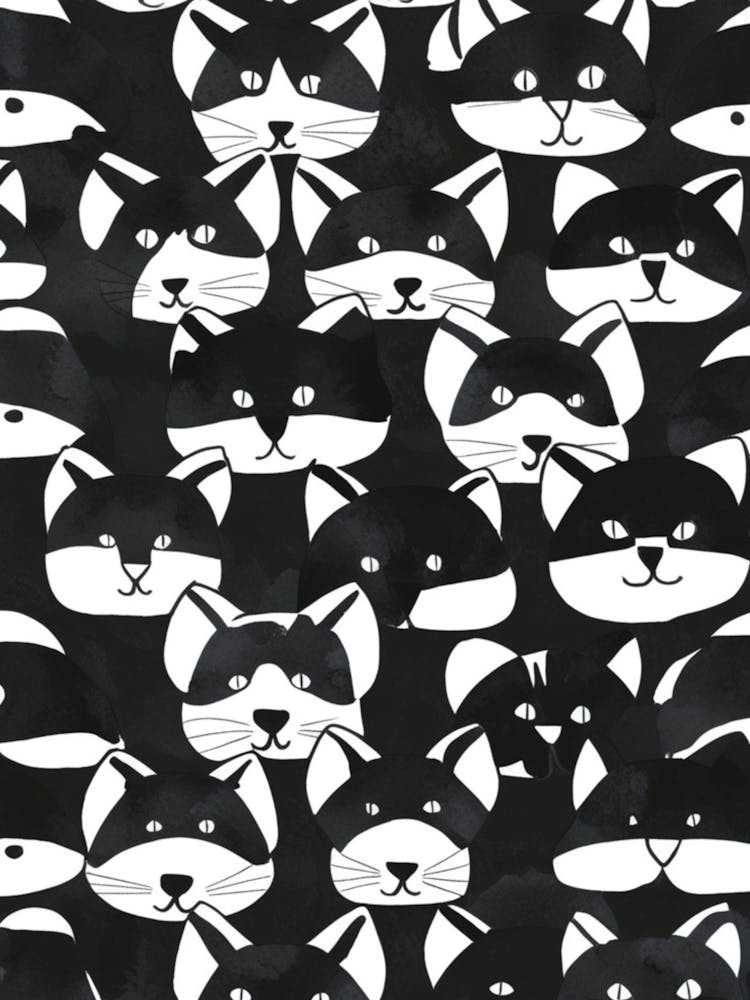 Schwarz und Weiß Katzen