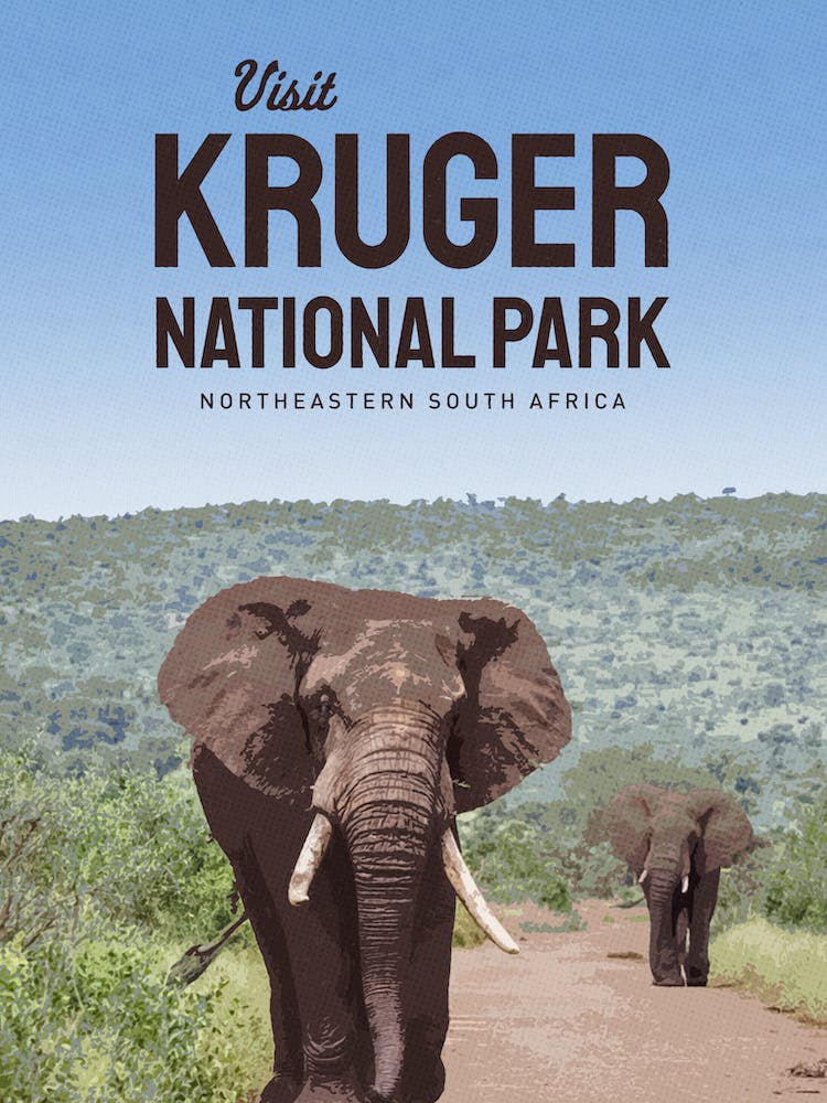 Kruger National Park 1