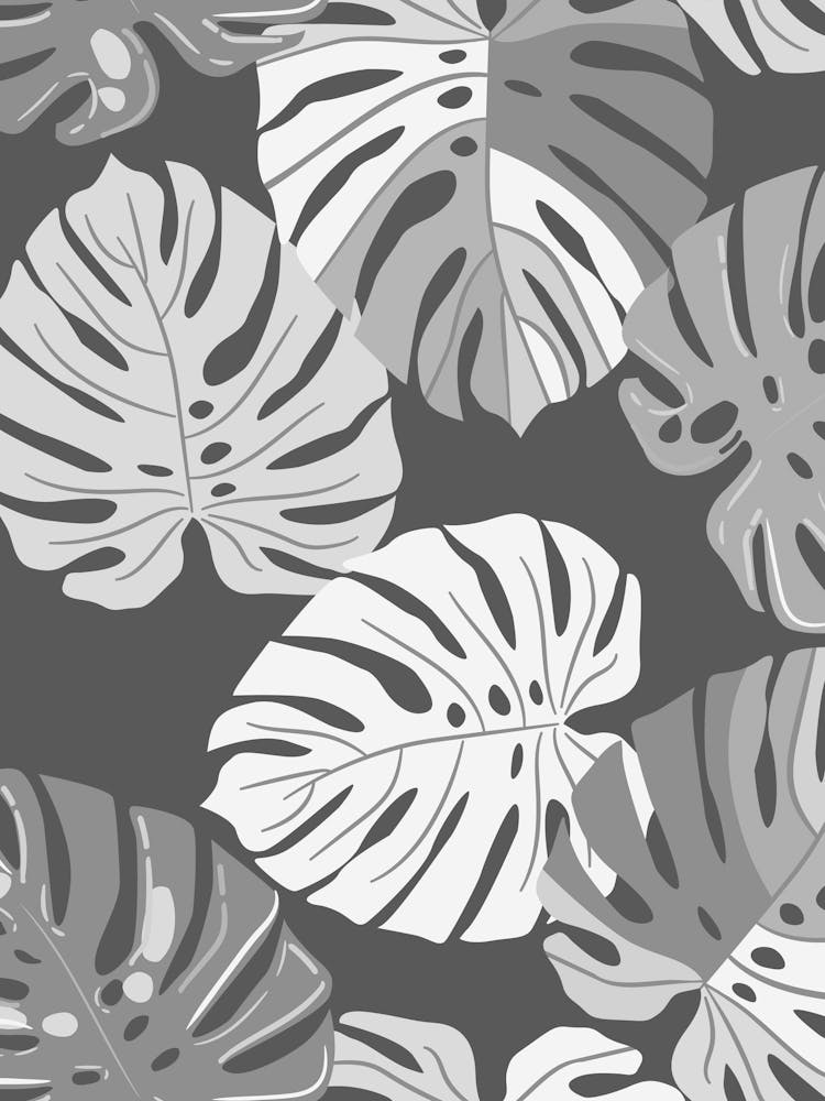 Monstera-Blätter 4
