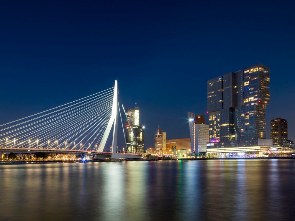 Erasmus Bridge In Rotterdam At Night