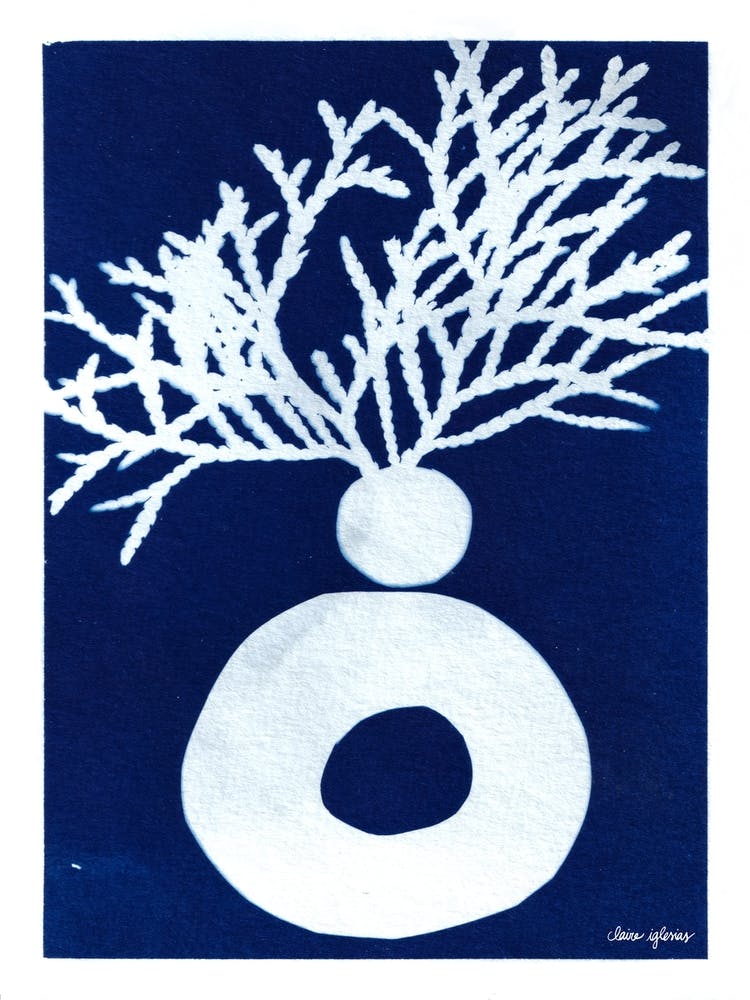 Blue Cyanotype Abstract Collage And Plants 2