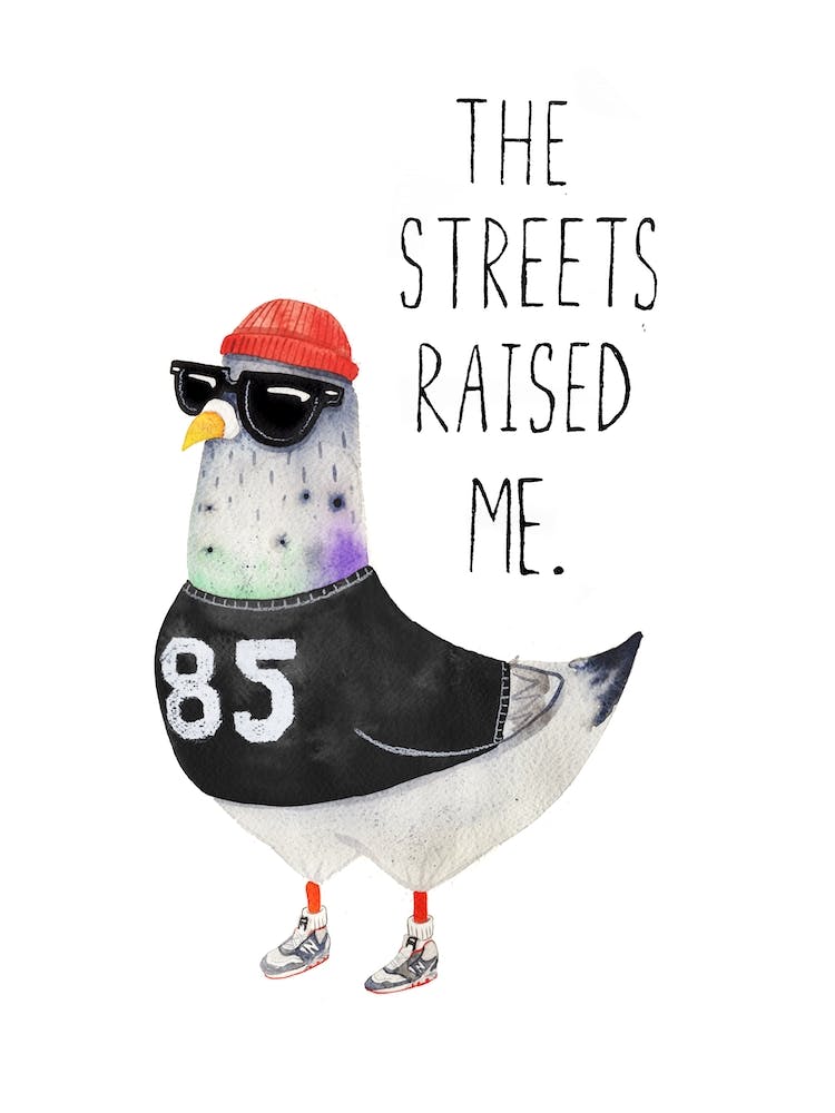 Street Pigeon