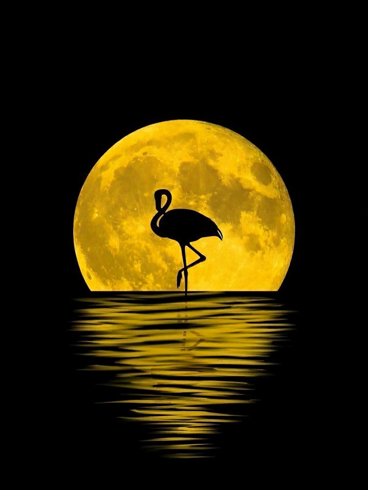 Flamingo At The Moon